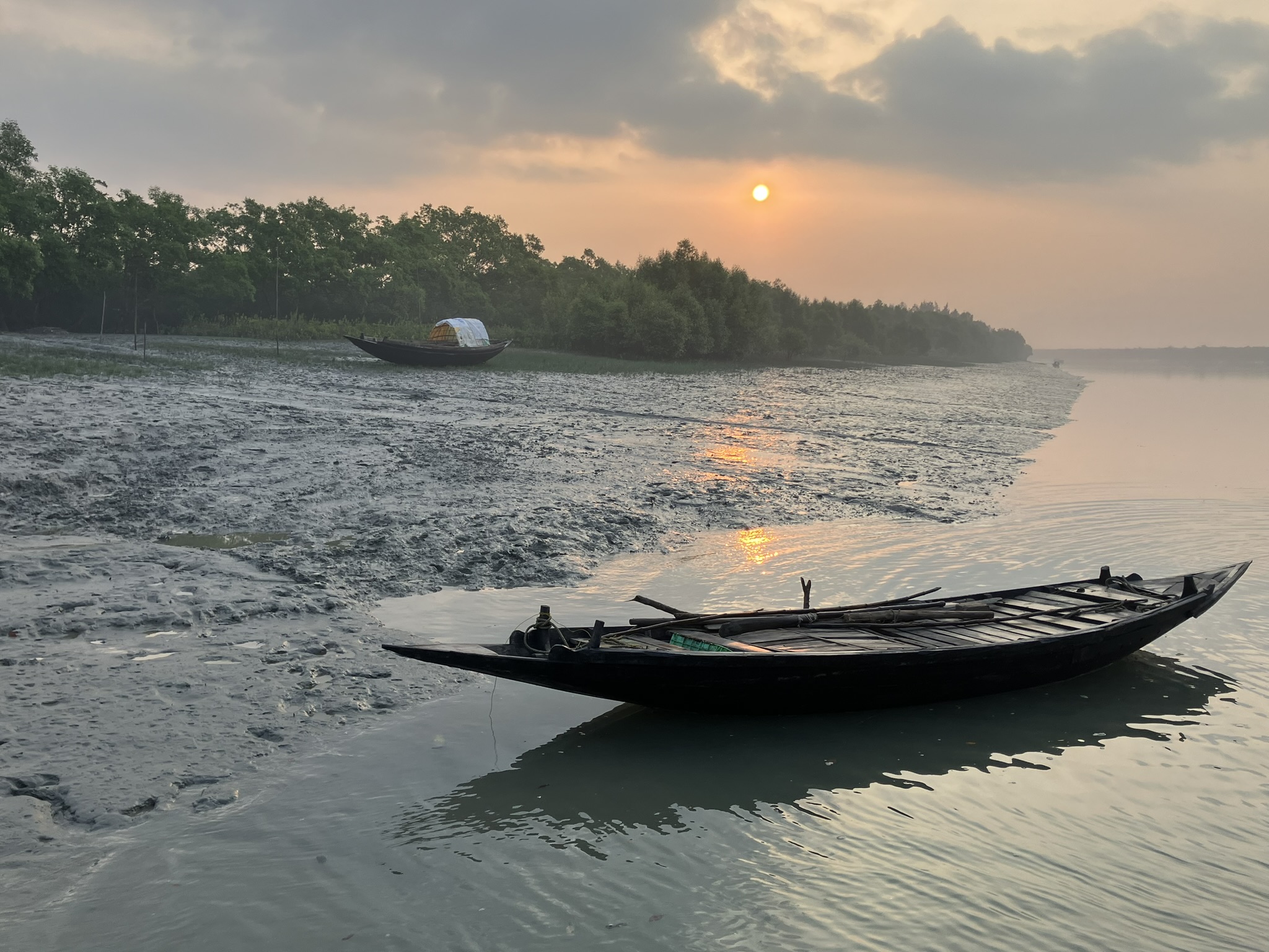 Tourists in Tiger Territory – The Woke Yogi